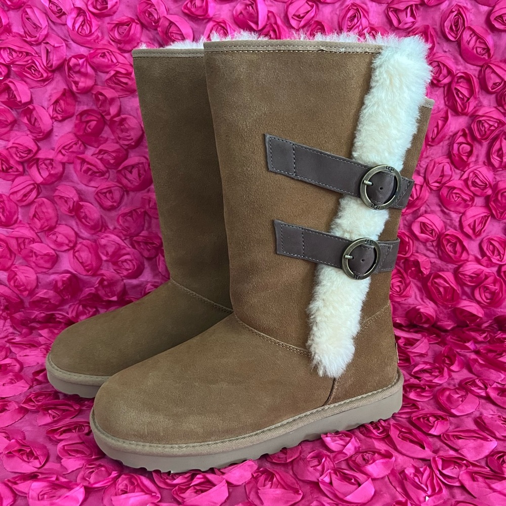 Brand new Ugg Aletheia Suede Boots